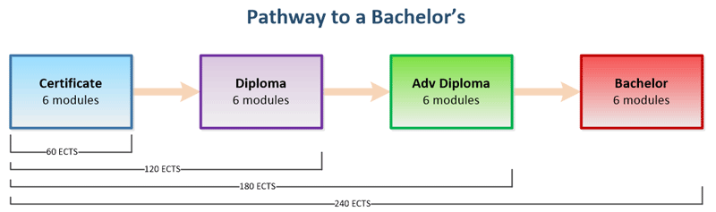 Bachelor's degree pathway
