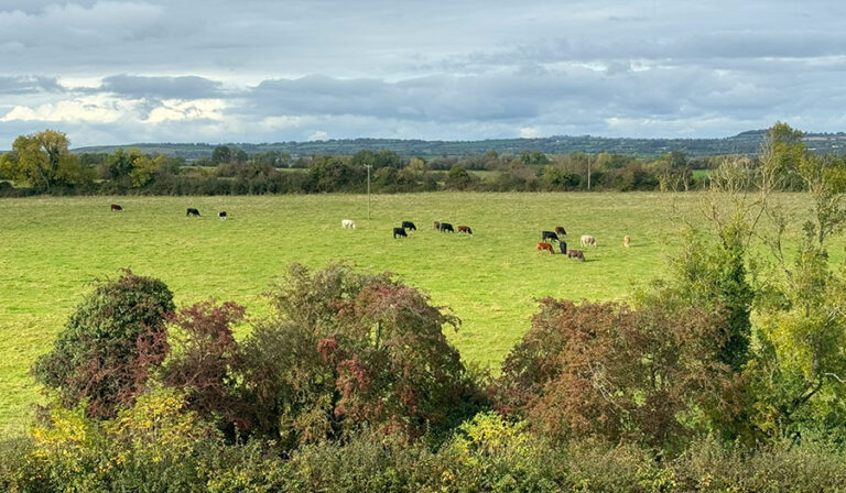 This is why they call Ireland the Emerald Isle